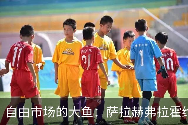 自由市场的大鱼：萨拉赫弗拉霍维奇在列 桑乔或再回多特
